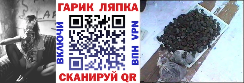 Гашиш hashish  Купить где  Волхов 