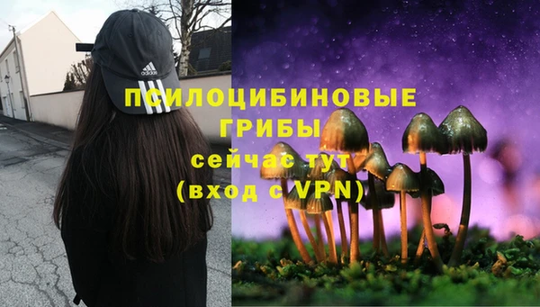 дмт Верея