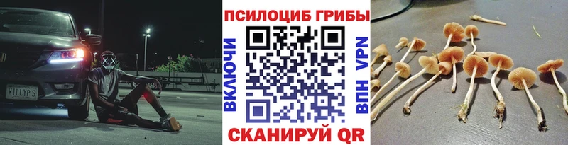 Псилоцибиновые грибы MAGIC MUSHROOMS Волхов