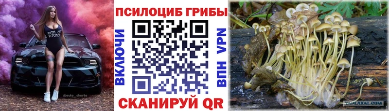 Галлюциногенные грибы прущие грибы  Купить  Волхов 